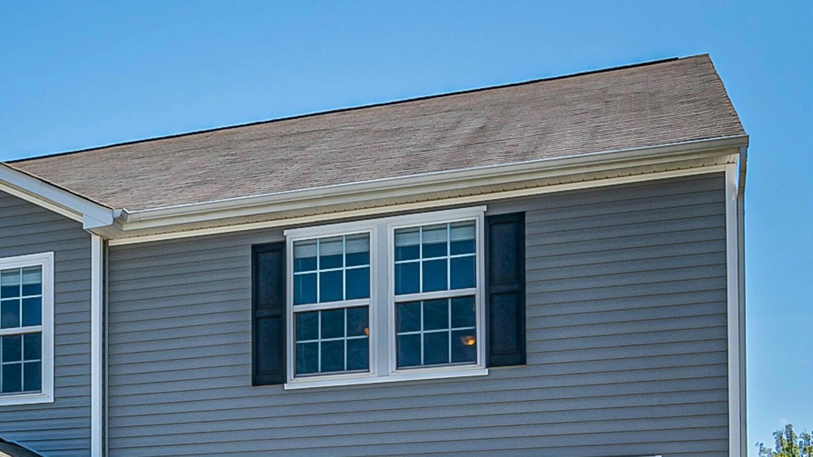 What Are Those Black Streaks on My Roof—And Why Should I Care?