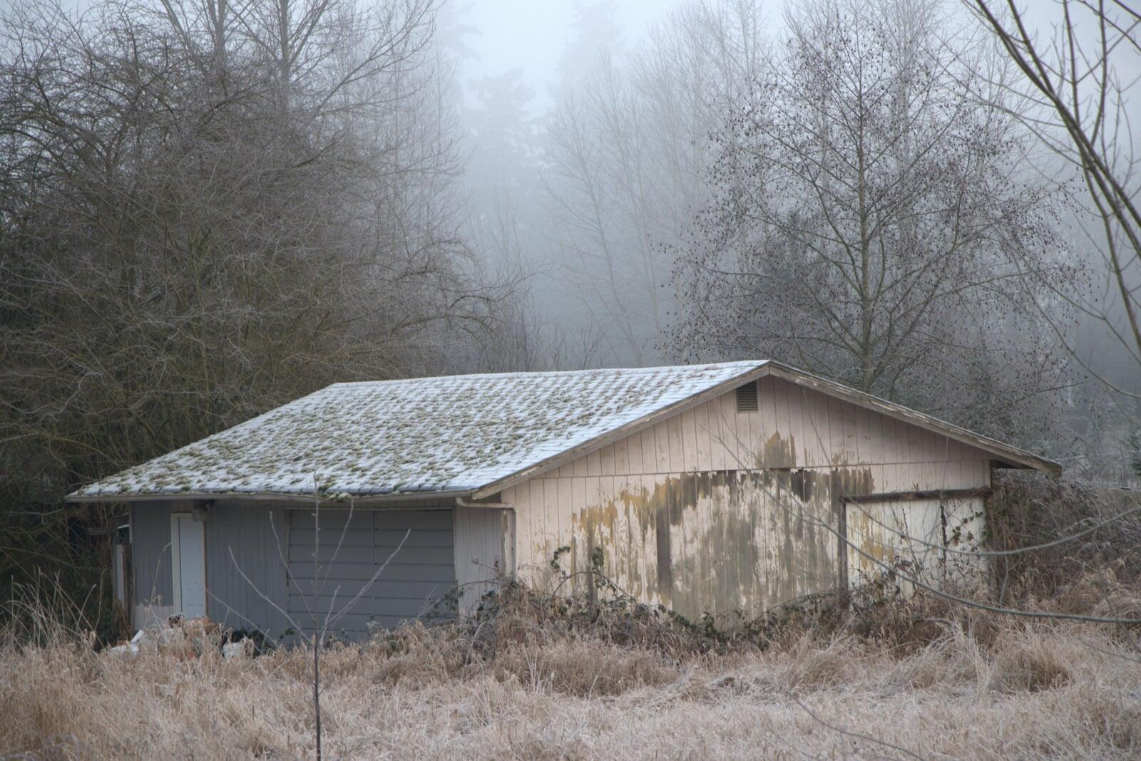Removing Mold and Mildew: A Gift to Your Home This February