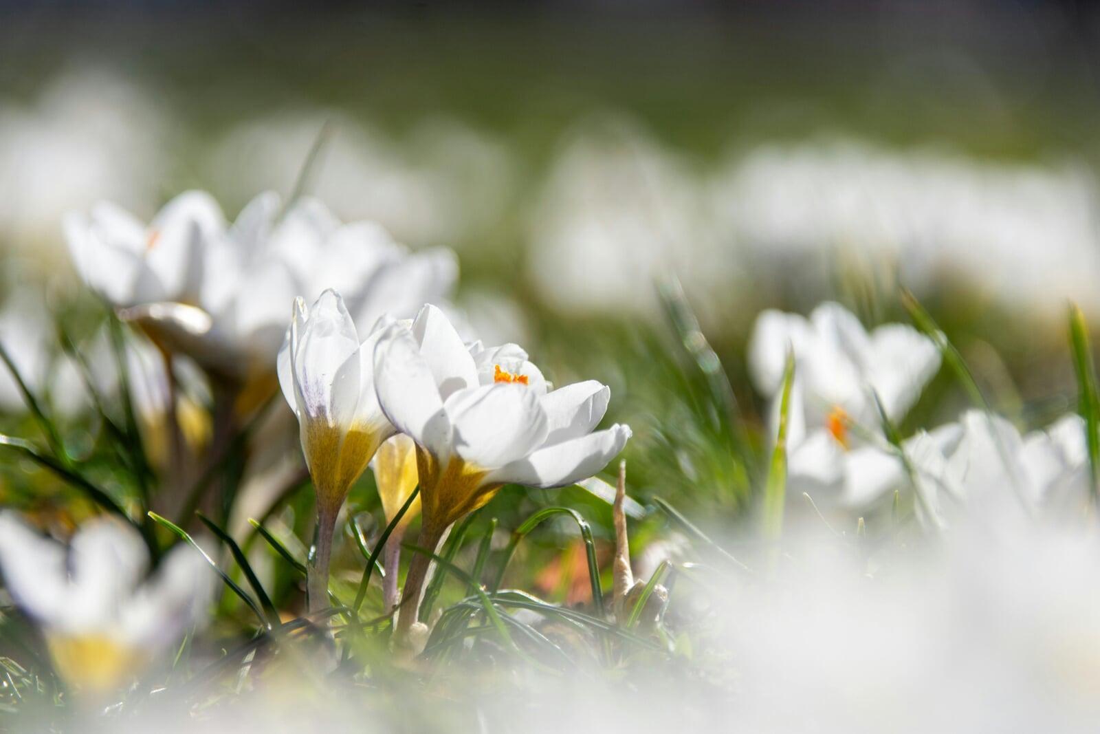 Top Areas to Power Wash After Winter: Driveways, Patios, Siding, and More!